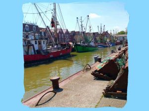 Bild 35: FH Nordsee-Oase, Nordseeküste, Neuharlingersiel: am Meer im Grünen am Hafen