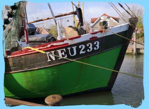 Bild 32: FH Nordsee-Oase, Nordseeküste, Neuharlingersiel: am Meer im Grünen am Hafen