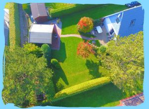 Bild 8: FH Nordsee-Oase, Nordseeküste, Neuharlingersiel: am Meer im Grünen am Hafen