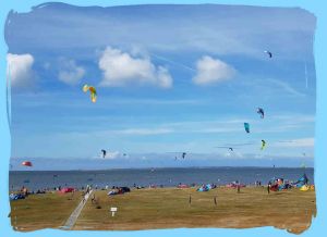 Bild 39: FH Nordsee-Oase, Nordseeküste, Neuharlingersiel: am Meer im Grünen am Hafen