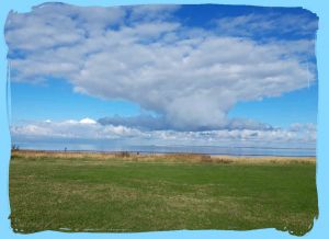 Bild 40: FH Nordsee-Oase, Nordseeküste, Neuharlingersiel: am Meer im Grünen am Hafen