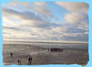 Bild 41: FH Nordsee-Oase, Nordseeküste, Neuharlingersiel: am Meer im Grünen am Hafen