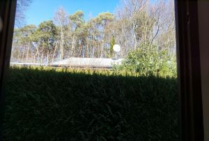 Genießen Sie den Ausblick auf die umliegenden Bäume aus dem Badezimmerfenster heraus.