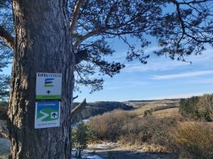 Der Wasserfallweg ist eine ganz besondere Adresse!
Dieser Wanderweg ist nach dem Dreimühlen-Wasserfall benannt. Sie besichtigen viele Flüsse, zahlreiche Bäche, namhafte Kapellen, spektakuläre Aussichten und geschichtsträchtige Burgruinen. Facettenreicher kann kaum ein Wanderweg sein. Wir wünschen ihnen schon jetzt eine wundervolle Reise.