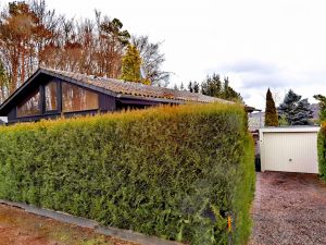 Erfreuen Sie sich abends an dem leuchtenden Sternenhimmel bei einem guten Glas Wein vom Essenstisch mit Blick durch die große Fensterfront aus!