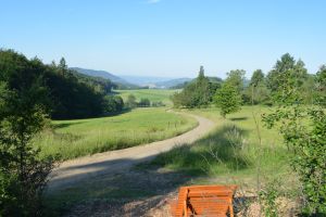 Bild 17: Ferienwohnung - Lahn-Dill-Bergland entdecken