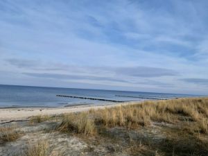 Bild 8: Ferienbungalow "Heimathafen" bei Fischland Darß-Zingst