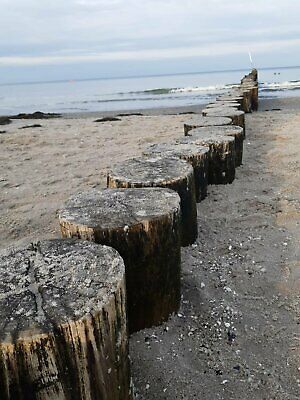Bild 9: Ferienbungalow "Heimathafen" bei Fischland Darß-Zingst