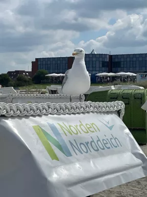 Bild 10: Top Ferienwohung in direkter Deichlage 150m zum Strand Norddeich Nordsee