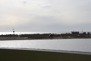 Bild: Ferienwohnung direkt an der Nordsee