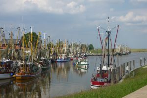 Greetsiel Krabbenkutterflotte Die Reederei Frisia bietet ab Greetsiel auch Ausflugsfahrten an - z.B. durch die Schleuse ins Wattenmeer oder je nach Saison Tagesfahrten zu den Inseln Norderney oder Juist)