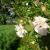 Galeriebild 1