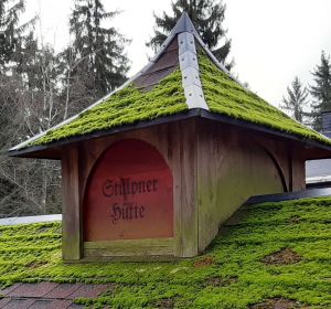 Entdeckung auf Wanderung zu den Greifensteinen