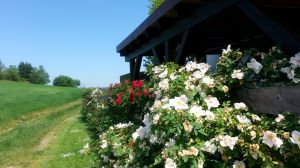 Wanderweg entlang der Unterkunft