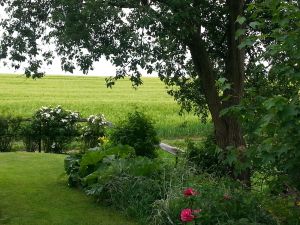 Bild 26: Ferienwohnung an der Teufelskanzel