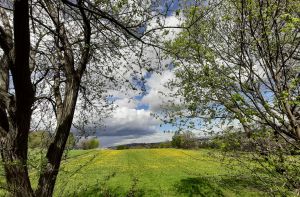 Blick aus dem Badezimmer