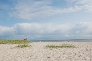 Der Sandstrand in Schillig ist 4 km von der Wohnung entfernt.