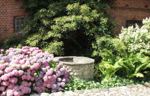 Bild 1: Henneken Hüs - Urlaub auf dem Bio-Bauernhof im historischen Fachwerkhof