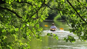 Bild 26: Henneken Hüs - Urlaub auf dem Bio-Bauernhof im historischen Fachwerkhof