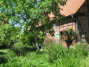 Bild 15: Henneken Hüs - Urlaub auf dem Bio-Bauernhof im historischen Fachwerkhof