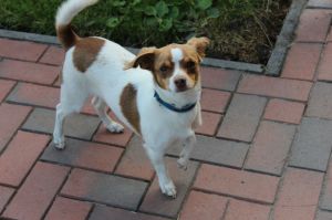 sie freut sich auf Streicheleinheiten