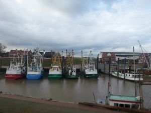 Bild 13: Ferienwohnung Mühlenblick im Fischerdorf Ditzum