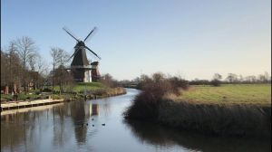 Bild 23: Haus Strandflieder - komfortable Doppelhaushälfte in Greetsiel