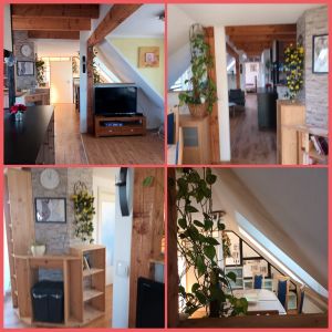 Bild 5: Ferienwohnung "Mona" Viecheln in der Mecklenburgischen Schweiz