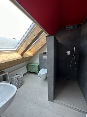 Toilette,Waschbecken,Dusche mit Raindance