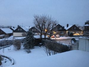 Blick in den Garten und die Nachbarschaft