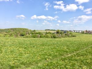Unsere Ferienwohnung liegt in Ennepetal Voerde-Nord, einem der höchstgelegenen Siedlungen im Stadtgebiet. Dieses Bild ist auf einer Frühlingswanderung entstanden und zeigt im Vordergrund die Siedlung "Jellinghausen" und am hinteren Rand unser Wohngebiet an der Vilvoorder Straße. Im Rücken des Fotografen liegt der Reitstall Meininghausen.