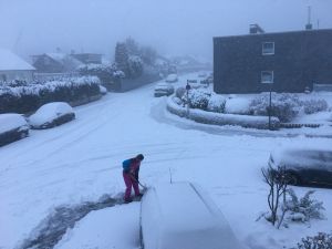 Unsere Winter sind leider nicht mehr so lang und kalt wie früher - aber 2021 hatten wir Blitzeis und einige Tage ein geschlossene Schneedecke - sehr zur Freude der begeisterten Schlittenfahrer. Auch Wanderungen durch den Glitzerwald waren eine Augenweide.