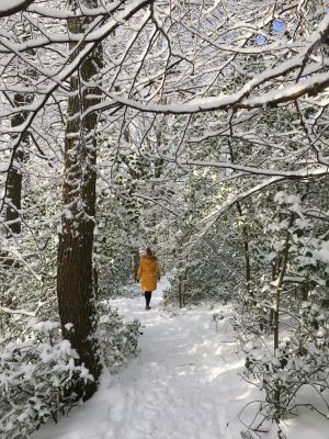 Der Eisregen verwandelte die Natur in eine Traumlandschaft.
