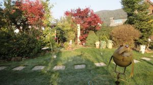 Eines der vielen Gartenbilder