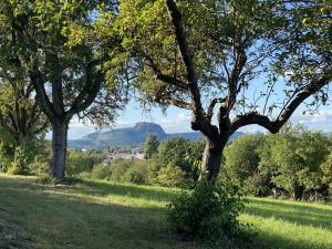 Bild 18: AR46 Ferienwohnung