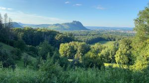 Bild 19: AR46 Ferienwohnung