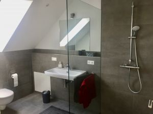 Bild 9: Ruhige 2 Zi-Ferienwohnung (FeWo) in Öhningen direkt am Bodensee