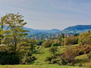 Bild 13: Ruhige 2 Zi-Ferienwohnung (FeWo) in Öhningen direkt am Bodensee