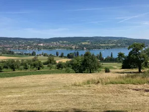 Bild 29: Ruhige 2 Zi-Ferienwohnung (FeWo) in Öhningen direkt am Bodensee