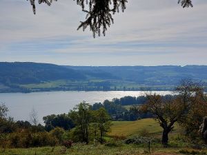 Bild 15: Ruhige 2 Zi-Ferienwohnung (FeWo) in Öhningen direkt am Bodensee
