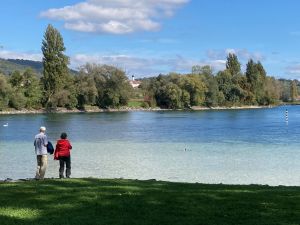 Bild 17: Ruhige 2 Zi-Ferienwohnung (FeWo) in Öhningen direkt am Bodensee
