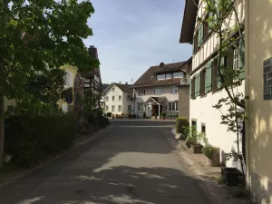 Bild 15: Ruhige 2 Zi-Ferienwohnung (FeWo) in Öhningen direkt am Bodensee