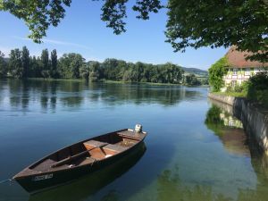 Bild 16: Ruhige 2 Zi-Ferienwohnung (FeWo) in Öhningen direkt am Bodensee