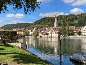 Bild 18: Ruhige 2 Zi-Ferienwohnung (FeWo) in Öhningen direkt am Bodensee