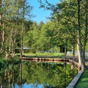 Bild 9: Ferienwohnung 2 im Natur- und Ferienpark am Groß Labenzer See