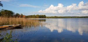 Bild 6: Ferienwohnung 8 im Natur- und Ferienpark am Groß Labenzer See