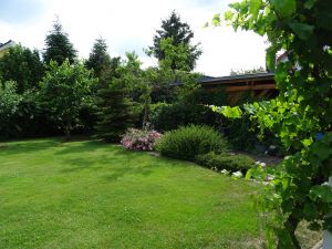 Der Gartenbereich