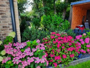 Bild 10: Ferienwohnung Amrum in der schönen Schleiregion