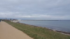 Bild 12: Ferienwohnung Amrum in der schönen Schleiregion