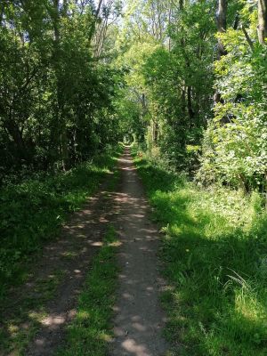Bild 11: Ferienwohnung Amrum in der schönen Schleiregion